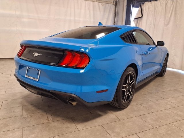 2023 Ford Mustang EcoBoost