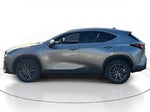 2023 Lexus NX NX 250