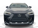 2024 Lexus NX NX 250 Premium